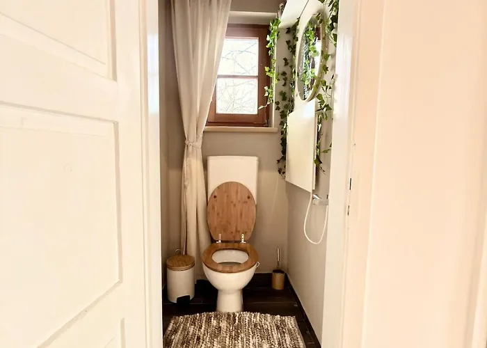 Ferienhaus Puravida- Im Grünen Bei Freistadt Großer Garten&hunde Willkommen *