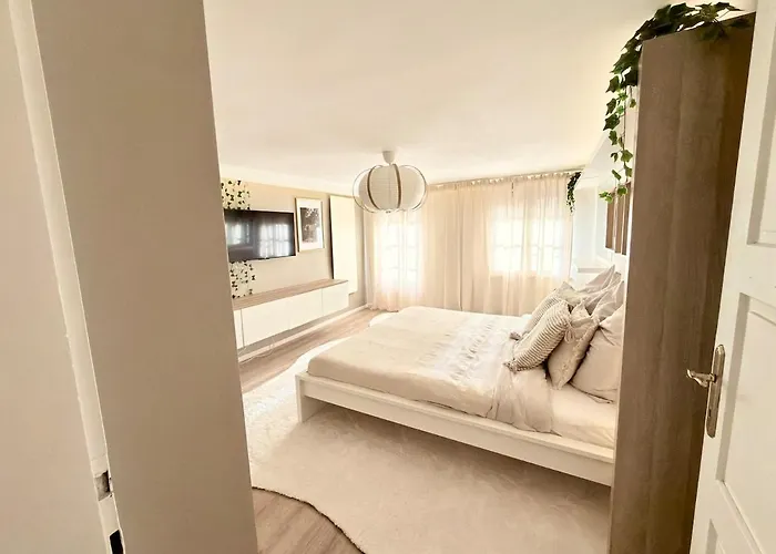 Puravida- Im Grünen Bei Freistadt Großer Garten&hunde Willkommen Ferienhaus